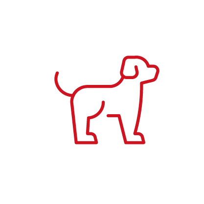 Parkplatz für Hunde